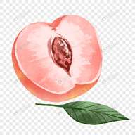 WWW,1hhhh·COM网站APPAPP应用