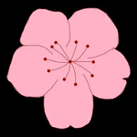 樱花视频APP应用